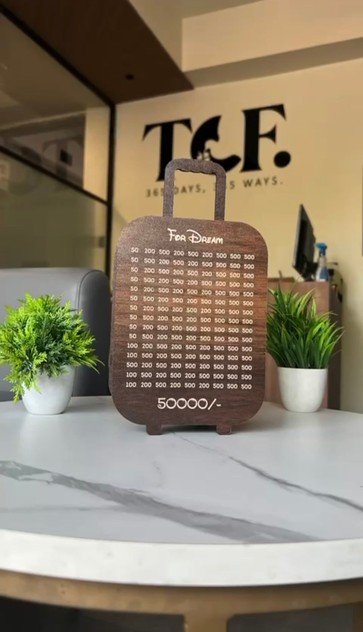 Travel Money Saving Bag™